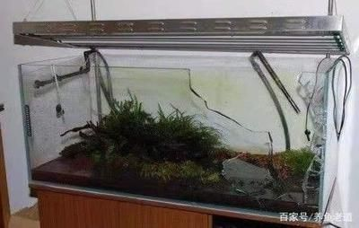 多大尺寸的魚(yú)缸需要拉筋：魚(yú)缸拉筋是為了增強(qiáng)魚(yú)缸的穩(wěn)定性嗎？