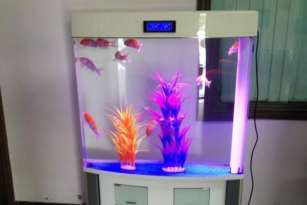 超白魚缸刮花了怎么辦：超白魚缸刮花怎么修復