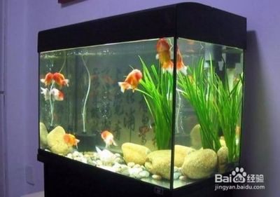 魚缸玻璃批發(fā)廠家直銷電話多少（魚缸玻璃批發(fā)廠家直銷電話多少?。?></span></p><p class=
