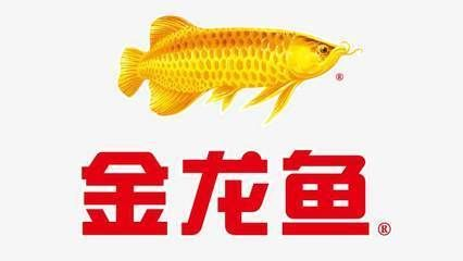 紅龍魚鱗片發(fā)黑潰爛：關(guān)于紅龍魚鱗片發(fā)黑潰爛的詳細(xì)信息 紅龍魚鱗片發(fā)黑潰爛：關(guān)于紅龍魚鱗片發(fā)黑潰爛的詳細(xì)信息 紅龍魚百科 第2張