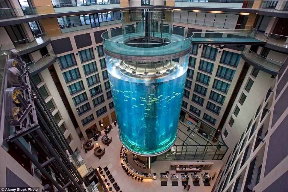 張家界水族館vs祥龍魚場（張家界水族館與祥龍魚場的區別） 張家界水族館vs祥龍魚場（張家界水族館與祥龍魚場的區別） 全國水族館企業名錄 第6張