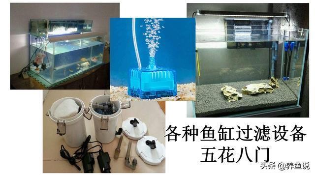 營口市站前區森森家水族店（營口市站前區森森家水族店電話）
