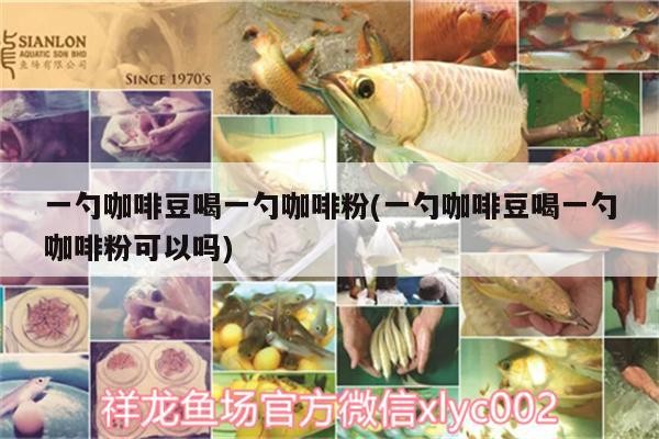 一勺咖啡豆喝一勺咖啡粉(一勺咖啡豆喝一勺咖啡粉可以嗎)