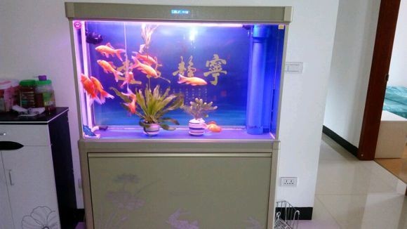 創寧水泵流量衰減,更換泵體多少錢（創寧水泵流量衰減,更換泵體多少錢一個）