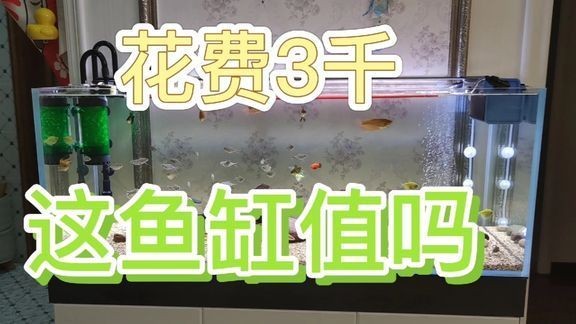 濉溪縣城南森森水族館（濉溪縣城南森森水族館電話）