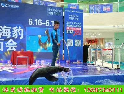 廣安水族館vs祥龍魚場（廣安水族館與祥龍魚場之間的差異之前，我們需要明確基本信息）