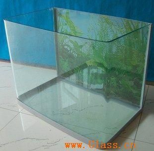 玻璃魚缸的價格是多少：玻璃魚缸價格可以根據其尺寸、材質、制作工藝等因素有所不同