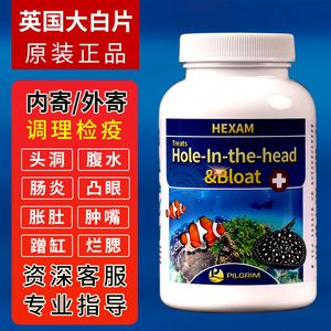 魟魚加鹽能治腸炎嗎：在藥物治療中，[需手動填充]魚加鹽能治腸炎嗎