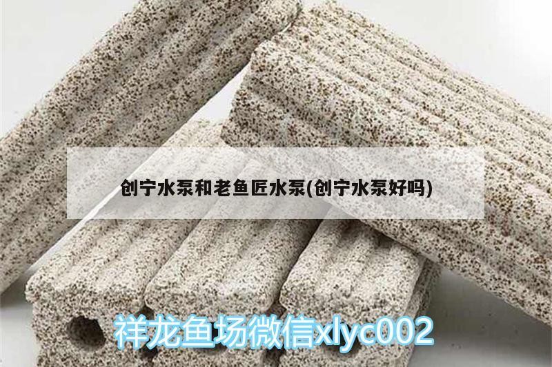 創寧水泵和老魚匠水泵(創寧水泵好嗎)