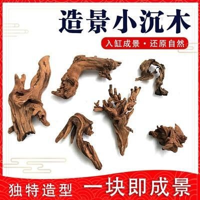 龍魚趴缸不動多久會死亡，龍魚趴缸不動多久會死亡呢，魚趴缸不動多久會死亡？