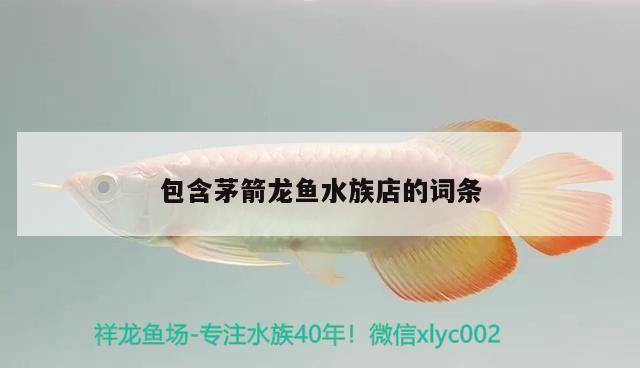 包含茅箭龍魚水族店的詞條