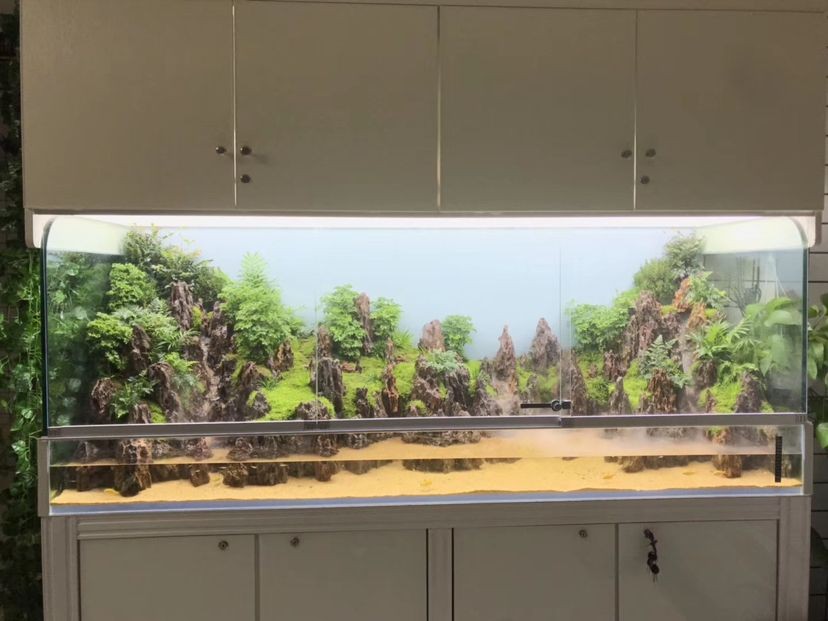 臨夏賣魚缸的地方有哪些電話號碼呢（我朋友的孩子掉在人家水塘里，溺水生亡，水）