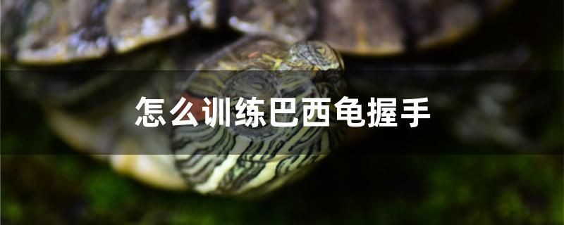 臨夏賣魚缸的地方有哪些電話號碼呢（我朋友的孩子掉在人家水塘里，溺水生亡，水）