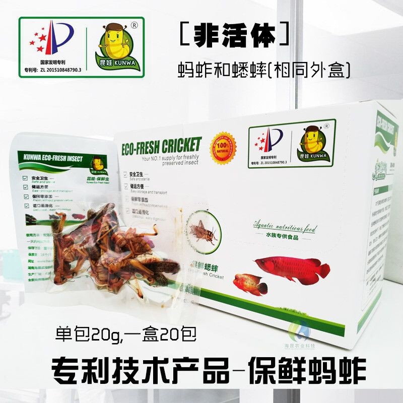 魟魚飼料蛋白質質量評價:如何評估魟魚飼料蛋白質質量? 魟魚百科 第1張 魟魚飼料蛋白質質量評價:如何評估魟魚飼料蛋白質質量? 魟魚飼料蛋白質質量評價:如何評估魟魚飼料蛋白質質量? 魟魚百科 第1張