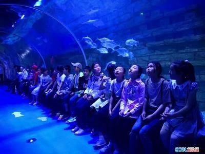 巴中水族館vs祥龍魚場（巴中水族館與祥龍魚場的具體差異）