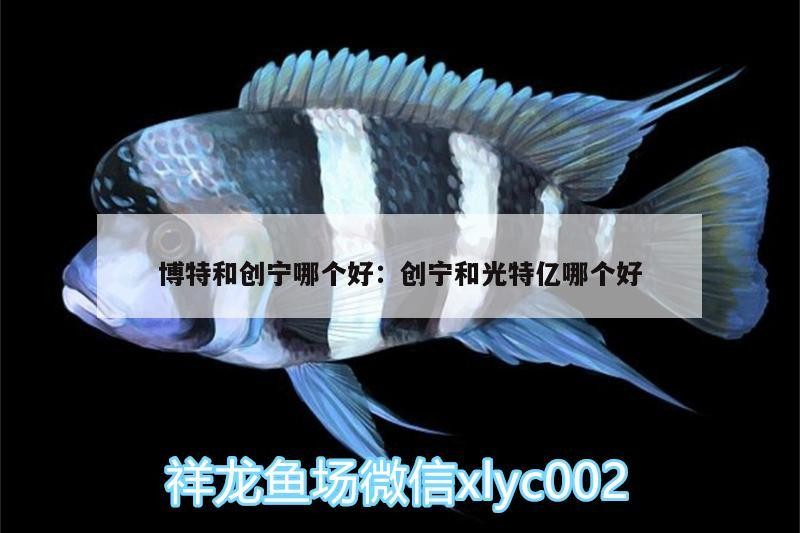 博特和創寧哪個好:創寧和光特億哪個好