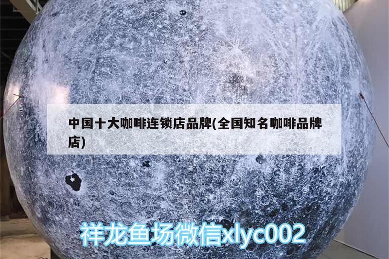 中國十大咖啡連鎖店品牌(全國知名咖啡品牌店)