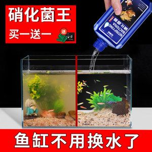 1.2米魚缸應放多少水質穩定劑：1.2米魚缸應放多少水質穩定劑使用量和注意事項
