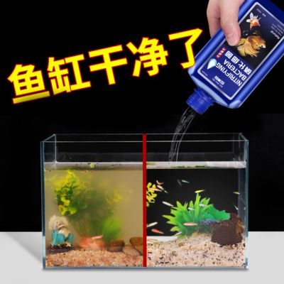 1.2米魚缸應放多少水質穩定劑：1.2米魚缸應放多少水質穩定劑使用量和注意事項