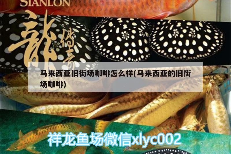 馬來西亞舊街場咖啡怎么樣(馬來西亞的舊街場咖啡) 馬來西亞舊街場咖啡怎么樣(馬來西亞的舊街場咖啡) 馬來西亞咖啡
