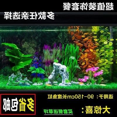 大魚缸造景視頻全過程：關于大魚缸造景視頻全過程的信息