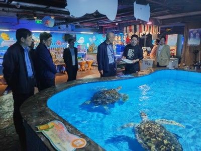 鹽城水族館vs祥龍魚場(chǎng)（鹽城水族館與祥龍魚場(chǎng)之間的差異之前，我們需要明確兩者的主要業(yè)務(wù)和特點(diǎn)）