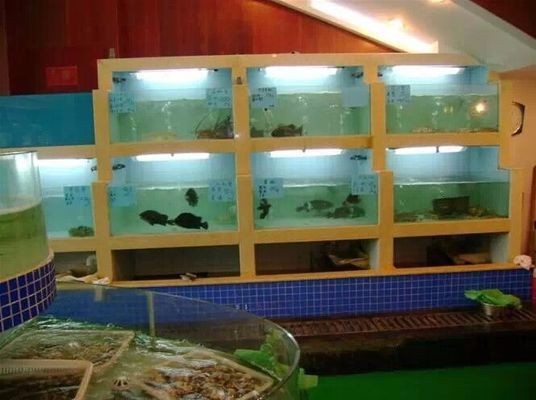 新手選龍魚尺寸vs祥龍魚場：新手養龍魚尺寸選擇祥龍魚尺寸的選擇技巧龍魚尺寸選擇 新手選龍魚尺寸vs祥龍魚場：新手養龍魚尺寸選擇祥龍魚尺寸的選擇技巧龍魚尺寸選擇 vs祥龍魚場 第4張