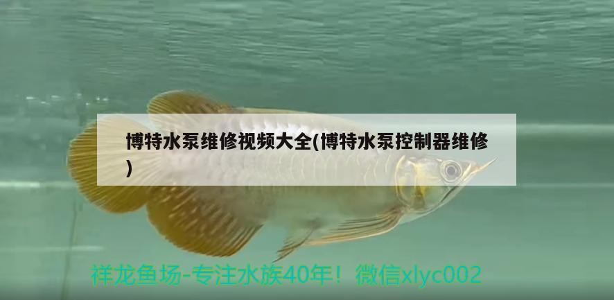 博特水泵維修視頻大全(博特水泵控制器維修)