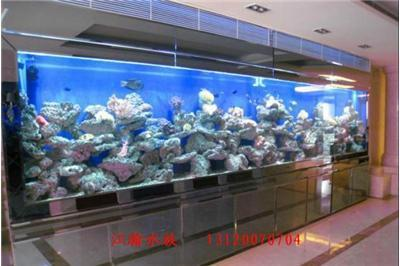 魚缸造景先放沙還是先放水(魚缸造景先鋪沙還是先放石頭) 創(chuàng)寧水泵流量變小怎么回事(創(chuàng)寧水泵流量變小怎么回事啊) 創(chuàng)寧水族 創(chuàng)寧水泵流量變小怎么回事(創(chuàng)寧水泵流量變小怎么回事啊) 創(chuàng)寧水泵流量變小怎么回事(創(chuàng)寧水泵流量變小怎么回事啊) 創(chuàng)寧水族