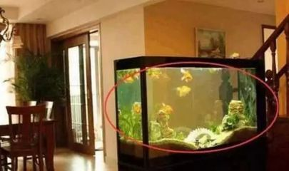 擺放魚缸的風水學說法：風水學經典著作《葬經》：魚缸擺放位置的講究和禁忌
