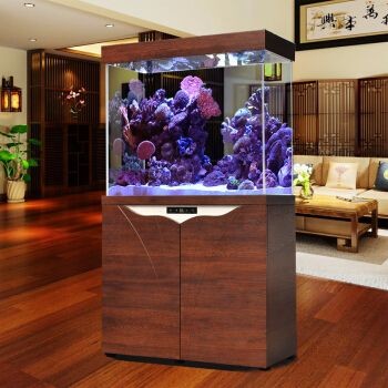 大型魚缸去哪里買好一點：大型魚缸材質大揭秘魚缸材質大揭秘魚缸養護技巧