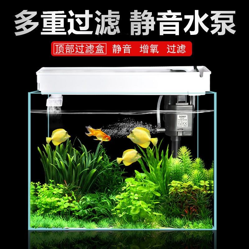 龍魚腮病癥狀對照表，如何判斷龍魚是否患病