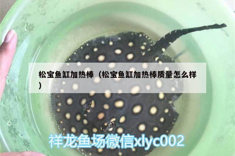 松寶魚缸加熱棒（松寶魚缸加熱棒質量怎么樣）