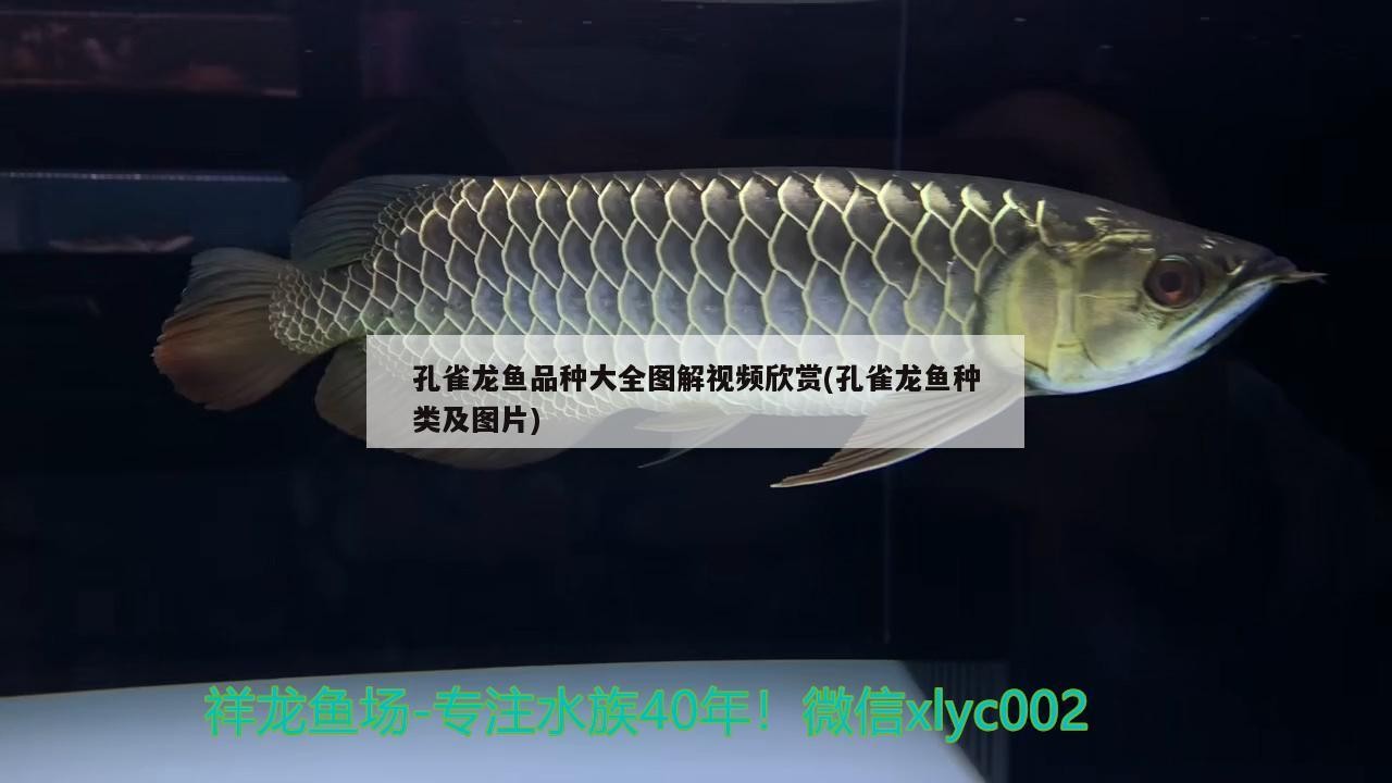 創寧變頻水泵怎么樣清洗視頻教程全集：創寧cn8100使用說明