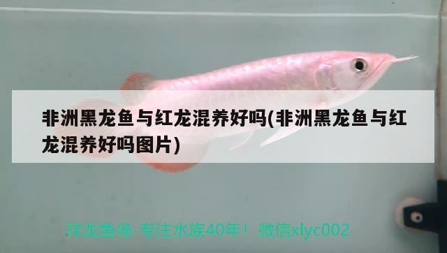 創寧變頻水泵怎么樣清洗視頻教程全集：創寧cn8100使用說明