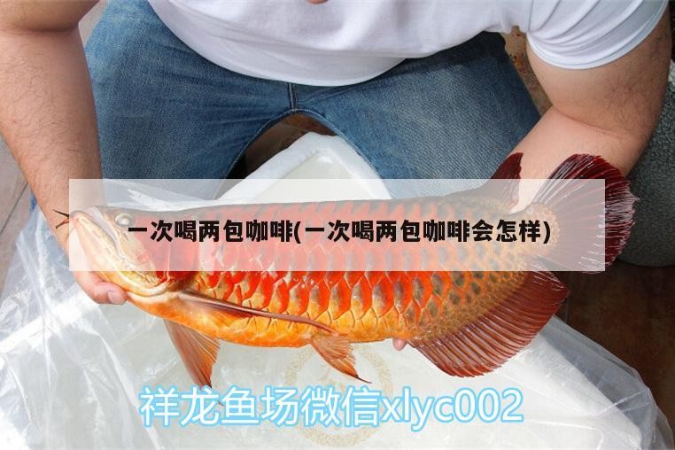 一次喝兩包咖啡(一次喝兩包咖啡會怎樣) 一次喝兩包咖啡(一次喝兩包咖啡會怎樣) 馬來西亞咖啡