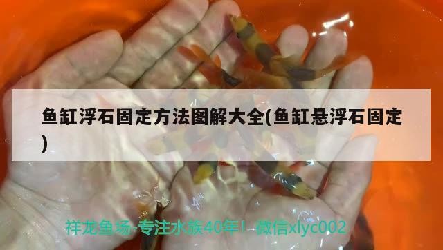 魚缸浮石固定方法圖解大全(魚缸懸浮石固定)
