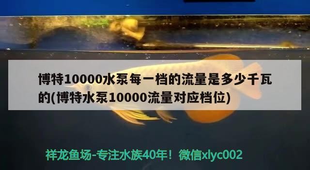 博特10000水泵每一檔的流量是多少千瓦的(博特水泵10000流量對應檔位)