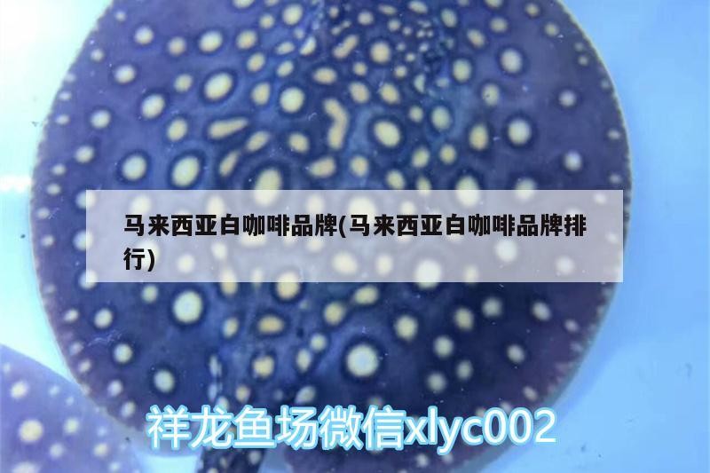 馬來西亞白咖啡品牌(馬來西亞白咖啡品牌排行) 馬來西亞白咖啡品牌(馬來西亞白咖啡品牌排行) 馬來西亞咖啡