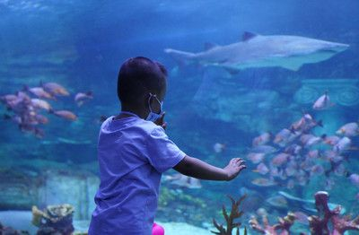 寧波水族館vs祥龍魚場（寧波水族館和祥龍魚場各有特點）