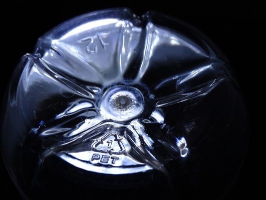 魚缸養(yǎng)魚的圖片（魚缸養(yǎng)魚的圖片真實）
