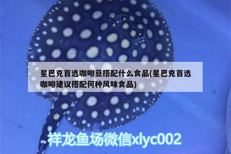 星巴克首選咖啡豆搭配什么食品(星巴克首選咖啡建議搭配何種風味食品) 星巴克首選咖啡豆搭配什么食品(星巴克首選咖啡建議搭配何種風味食品) 馬來西亞咖啡