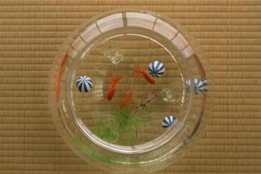 新巴爾虎右旗阿拉坦額莫勒鎮娜娜鮮花水族館 新巴爾虎右旗阿拉坦額莫勒鎮娜娜鮮花水族館 全國水族館企業名錄 第2張