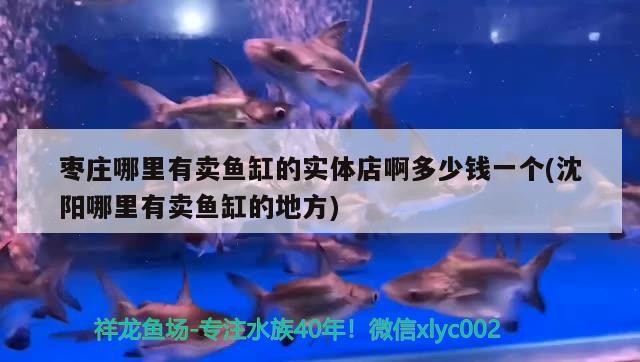 魚缸用增氧泵價格是多少:魚缸增氧機-xtrac增氧機-xtrac增氧機 棗莊哪里有賣魚缸的實體店啊多少錢一個(沈陽哪里有賣魚缸的地方) 魟魚百科 棗莊哪里有賣魚缸的實體店啊多少錢一個(沈陽哪里有賣魚缸的地方) 棗莊哪里有賣魚缸的實體店啊多少錢一個(沈陽哪里有賣魚缸的地方) 魟魚百科