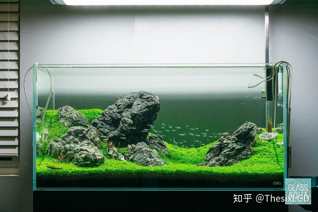 sπs魚缸：\"sπs\"sπs魚缸品牌介紹 sπs魚缸：\"sπs\"sπs魚缸品牌介紹 魚缸百科 第1張