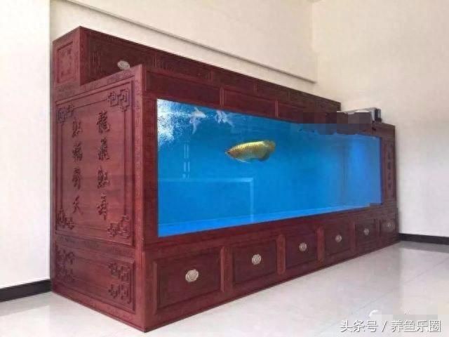 大型魚缸制作過程視頻:關(guān)于大型魚缸制作的視頻資源 魚缸百科 第1張 大型魚缸制作過程視頻:關(guān)于大型魚缸制作的視頻資源 大型魚缸制作過程視頻:關(guān)于大型魚缸制作的視頻資源 魚缸百科 第1張