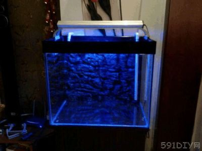 大型魚缸制作過程視頻:關(guān)于大型魚缸制作的視頻資源 魚缸百科 第4張 大型魚缸制作過程視頻:關(guān)于大型魚缸制作的視頻資源 大型魚缸制作過程視頻:關(guān)于大型魚缸制作的視頻資源 魚缸百科 第4張