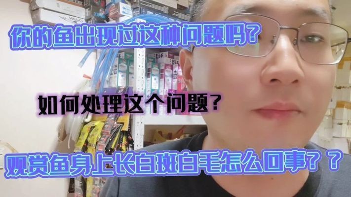虎魚身上長白毛怎么治療視頻：虎魚身上長白毛怎么治療