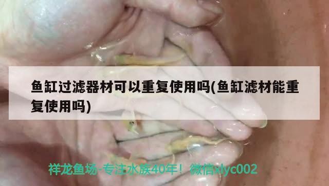 魚缸過(guò)濾器材可以重復(fù)使用嗎(魚缸濾材能重復(fù)使用嗎)
