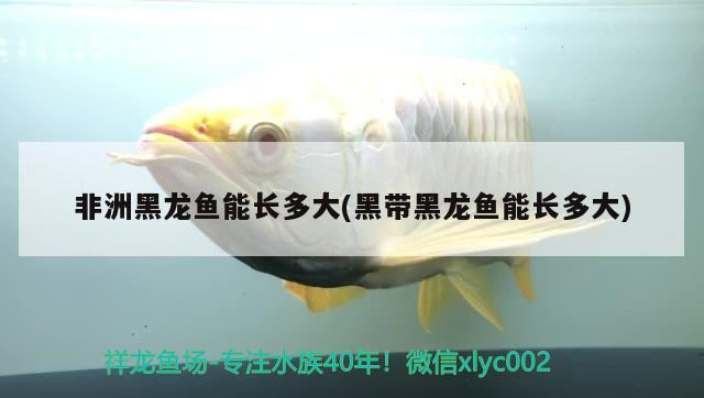 創寧加熱棒異常報警e2怎么處理（創寧加熱棒cn111顯示異常報警）